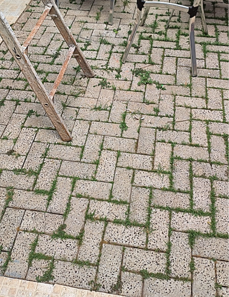 Calçada - 1 - Rapiidex Manutenção e Reparos